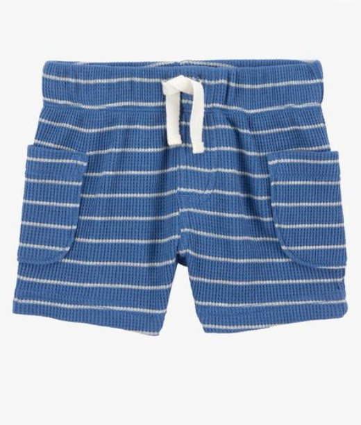 Set 3 piezas de Dinosaurios